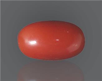 Natural Red Coral (J)  9.46 RTS - 65002